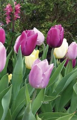Tulips: Journal