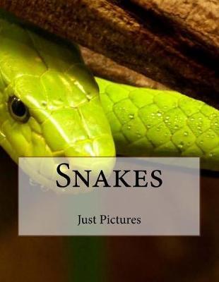 Snakes