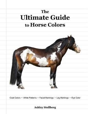The Ultimate Guide to Horse Colors