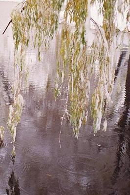 Winter Theme Journal Pretty Snowy Branches: (Notebook, Diary, Blank Book)