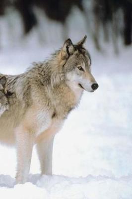 Winter Theme Journal Pretty Wolves: (notebook, Diary, Blank Book)