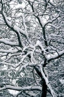 Winter Theme Journal Twisted Winter Branches: (Notebook, Diary, Blank Book)