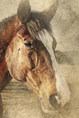 The Wild Horse: Notebook /Journal