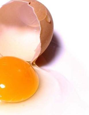 Cracked Eggs Notebook: Notebook with 150 lined pages