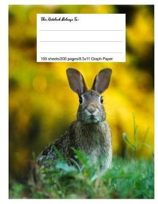 Graph Paper Workbook, 5x5 Graph Ruled Paper, 8.5.X 11, 100 Sheets, 200 Pages, Bunny Rabbit