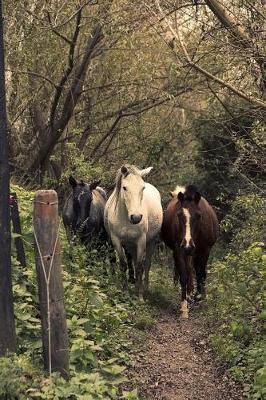 Three Lovely Horses in the Forest Journal: 150 Page Lined Notebook/Diary
