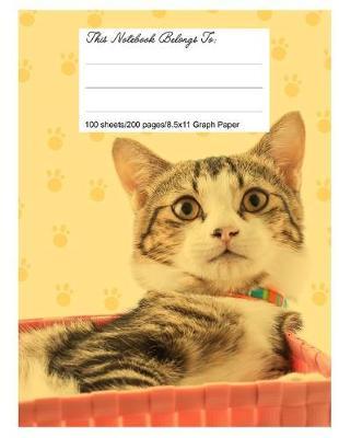 Graph Paper Workbook, 5x5 Graph Ruled Paper, 8.5.X 11, Beautiful Cat
