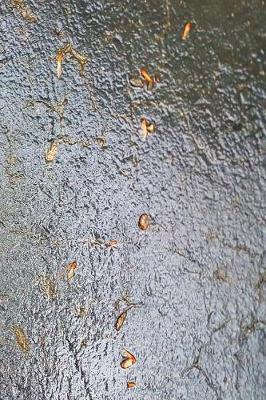 Journal Wet Driveway Surface: (Notebook, Diary, Blank Book)