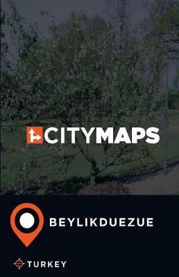 City Maps Beylikduezue Turkey