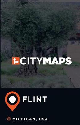 City Maps Flint Michigan, USA