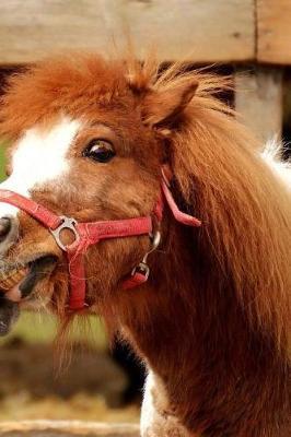 Playful Ponies Notebook