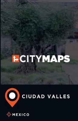 City Maps Ciudad Valles Mexico