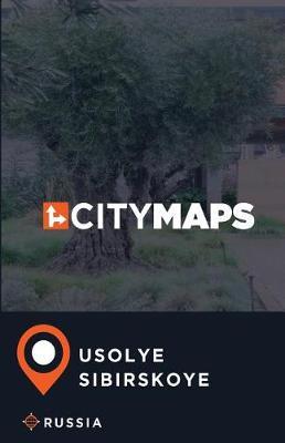 City Maps Usolye-Sibirskoye Russia