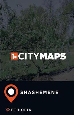 City Maps Shashemene Ethiopia
