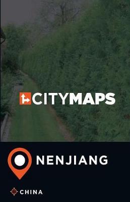 City Maps Nenjiang China