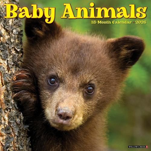 Baby Animals 2026 12 X 12 Wall Calendar