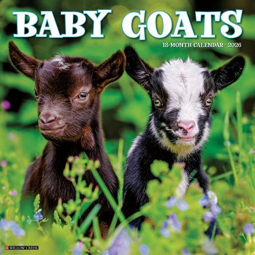 Baby Goats 2026 12 X 12 Wall Calendar