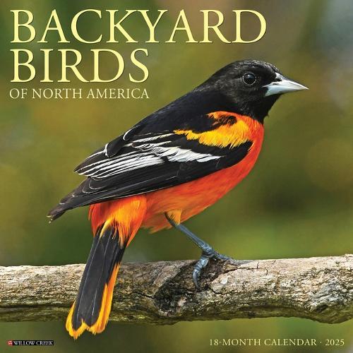 Backyard Birds 2026 12 X 12 Wall Calendar