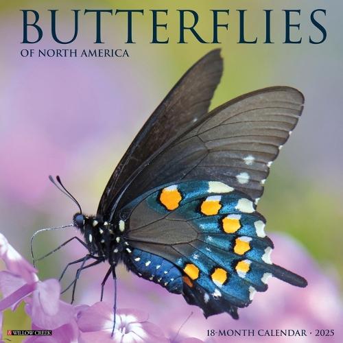 Butterflies 2026 12 X 12 Wall Calendar