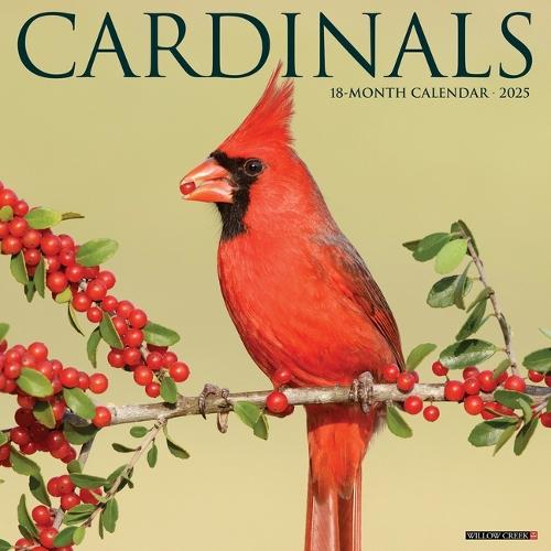 Cardinals 2026 12 X 12 Wall Calendar