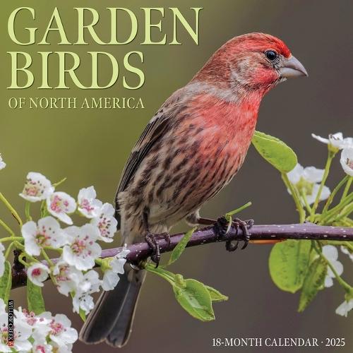 Garden Birds 2026 12 X 12 Wall Calendar