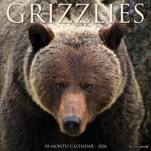 Grizzlies 2026 12 X 12 Wall Calendar
