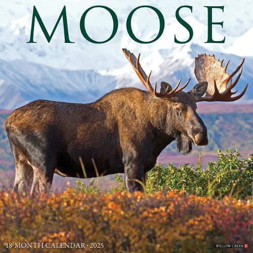 Moose 2026 12 X 12 Wall Calendar
