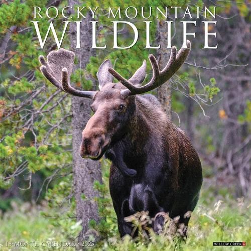 Rocky Mountain Wildlife 2026 12 X 12 Wall Calendar