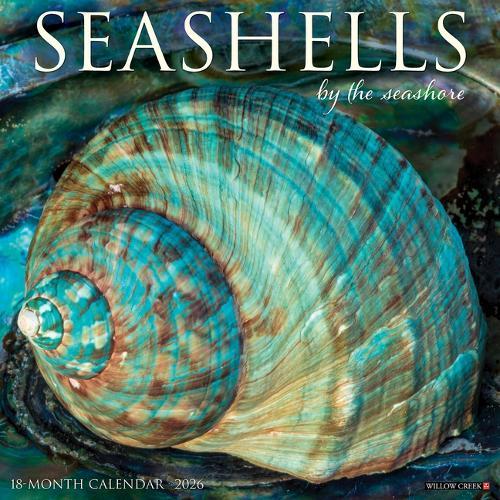 Seashells 2026 12 X 12 Wall Calendar