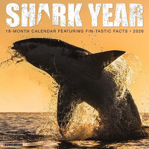 Shark Year 2026 12 X 12 Wall Calendar