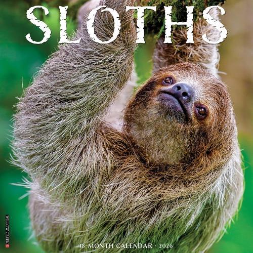 Sloths 2026 12 X 12 Wall Calendar