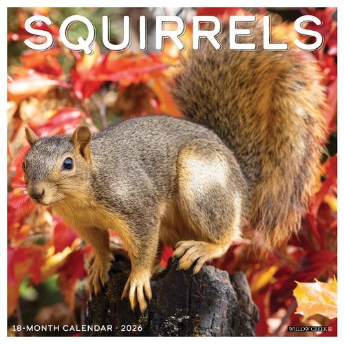 Squirrels 2026 12 X 12 Wall Calendar