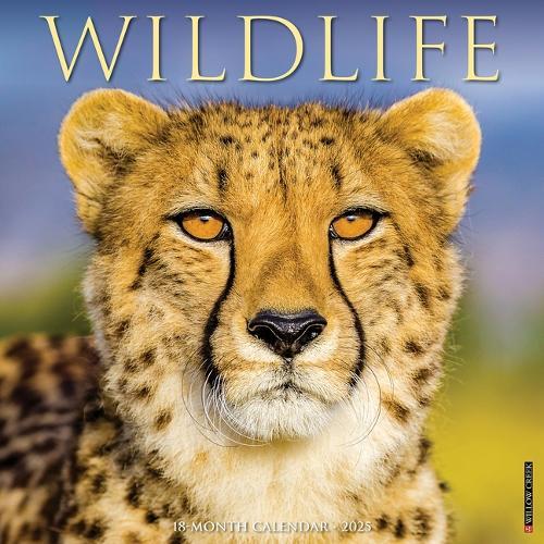 Wildlife 2026 12 X 12 Wall Calendar