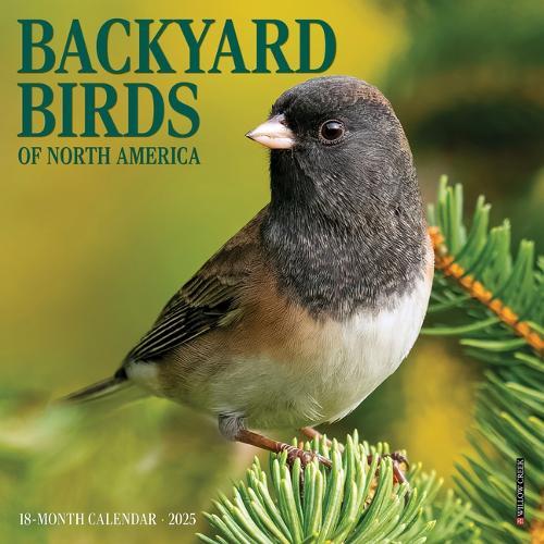 Backyard Birds 2026 7 X 7 Mini Wall Calendar
