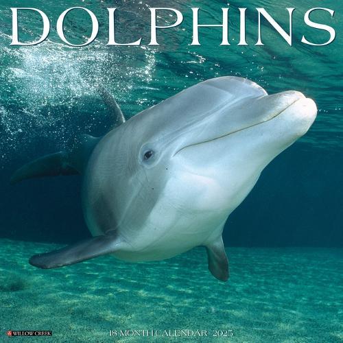 Dolphins 2026 12 X 12 Wall Calendar
