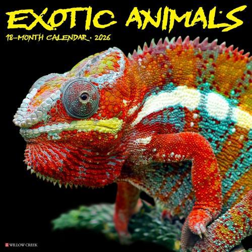 Exotic Animals 12 X 12 Wall Calendar