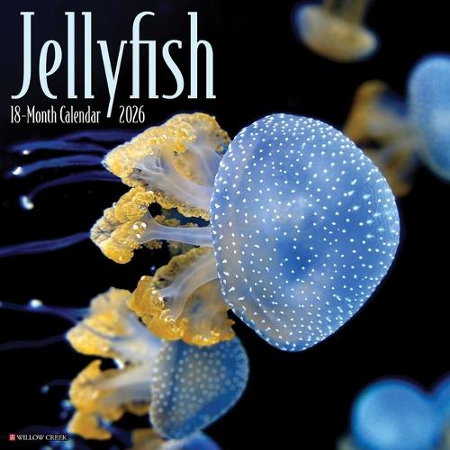 Jellyfish 12 X 12 Wall Calendar
