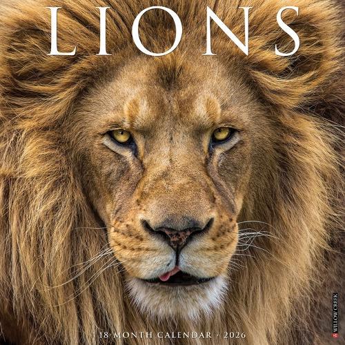 Lions 12 X 12 Wall Calendar