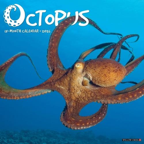 Octopus 12 X 12 Wall Calendar