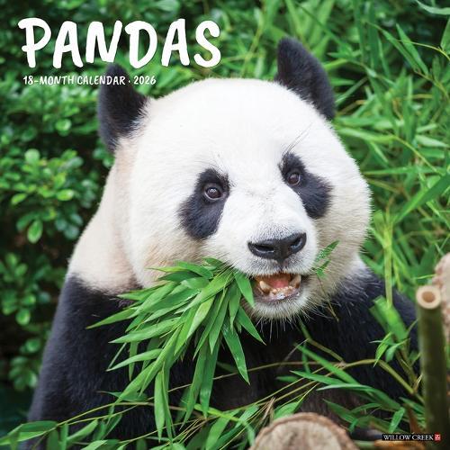 Pandas 12 X 12 Wall Calendar
