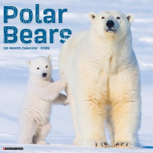 Polar Bears 12 X 12 Wall Calendar