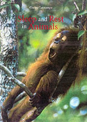 Sleep and Rest in Animals