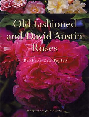 Old-Fashioned and David Austin Roses