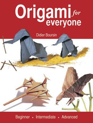 Origami for Everyone