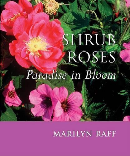 Shrub Roses: Paradise in Bloom