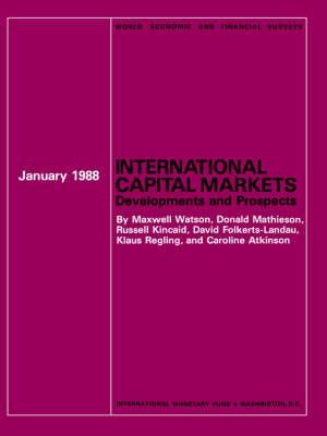 International Capital Markets