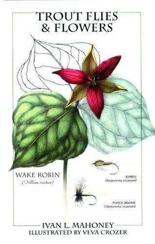 The Homestead Builder: Practical Hints for Handy-men