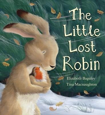 The Little Lost Robin