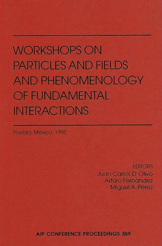 Particles and Fields and Phenomenology: Proceedings of the Fifth Workshop Held in Puebla, Mexico, October 1995