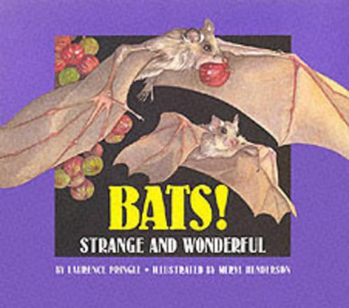 Bats!: Strange and Wonderful